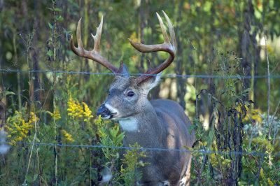 DSC_2692.jpg