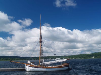 Harbor Beauty