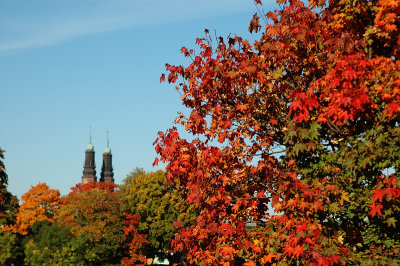 Hgalid church and maple foilage I