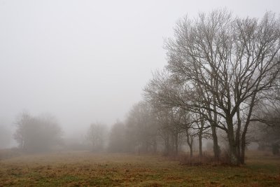 Morning mist at Ddevi