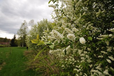 DSC_7400.jpg