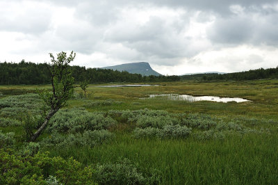 DSC_0939.jpg