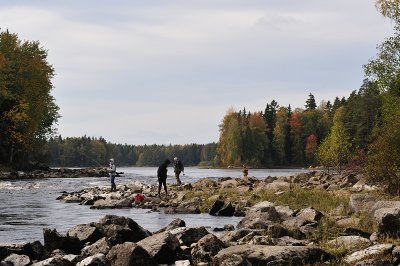 DSC_2376.jpg