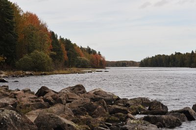 DSC_2385.jpg