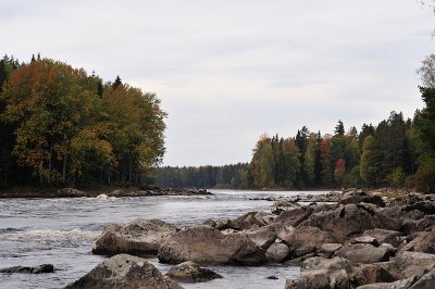 DSC_2388.jpg