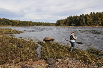 DSC_2410.jpg