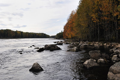 DSC_2419.jpg