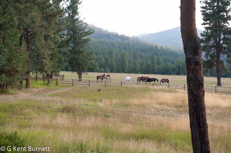 Triple Creek Ranch