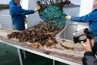 Iceland Sea Catch