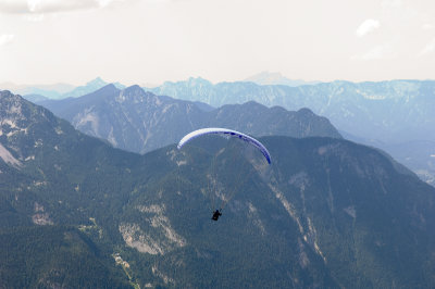 Austrian Paraglider