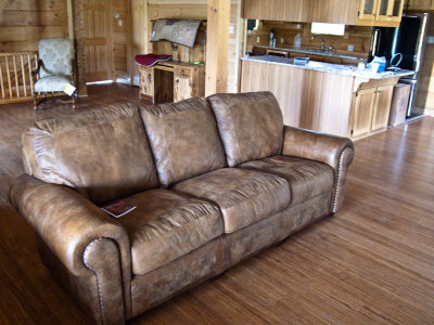 TV Sofa