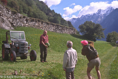 Farming the Alps