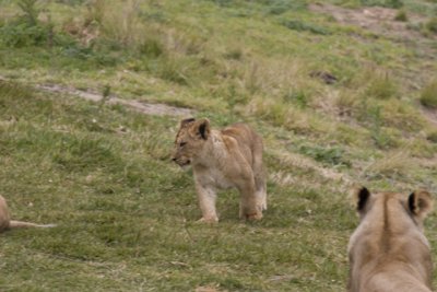 IMG_1601.jpg