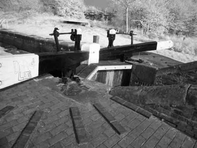 Stourbridge Canal. #11