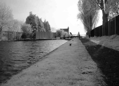 Stourbridge Canal. #17