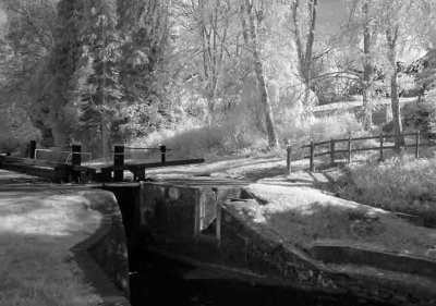 Shropshire Union Canal #2
