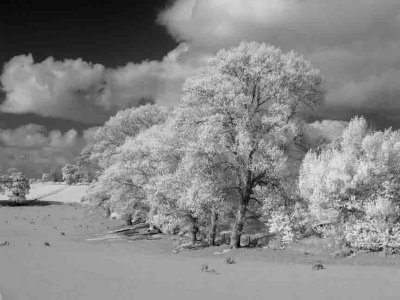 Shropshire Union Canal #10