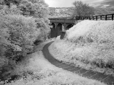 Llangollen Canal #4