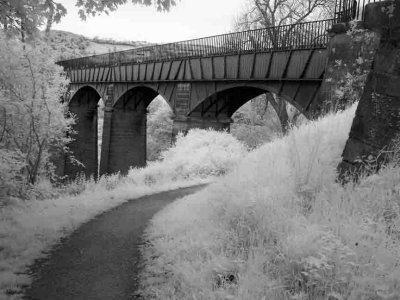 Llangollen Canal #5