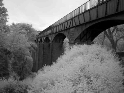 Llangollen Canal #6