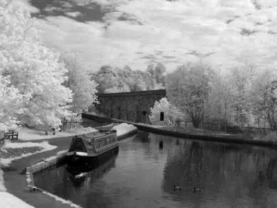 Llangollen Canal #11