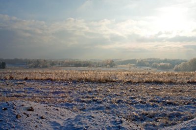 Morning after an Ice Storm