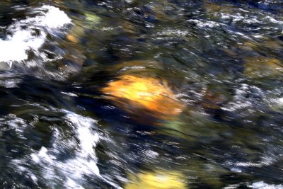 IMG_7010a.JPG