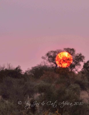 Sunset Sunset  Wild  Africa 06-2010.jpg