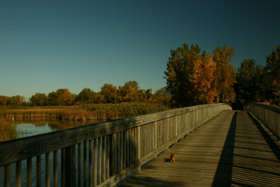 g1/84/784984/3/105735781.HO6R2Bix.jpg