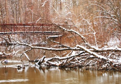 An Old Rusty Bridge