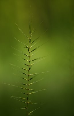 g1/84/784984/3/114581867.x9BnooW3.jpg