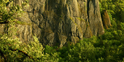 Rock
