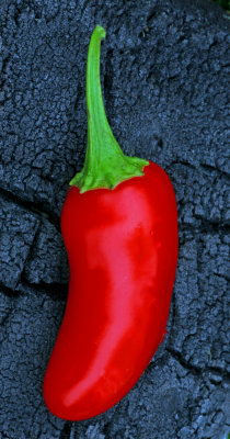 Hot On Hot With Hot Within