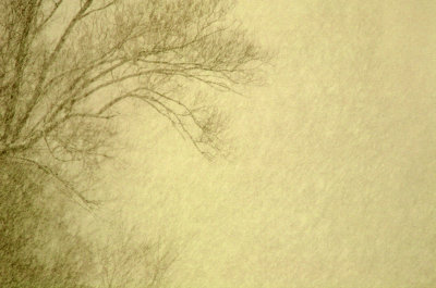 Snowstorm
