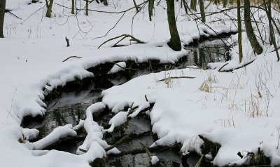 And The Winter Winds On
