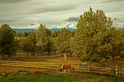 Equestrian Ranch in the Cascades