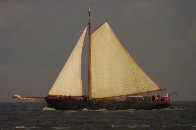 K20D0449.jpg