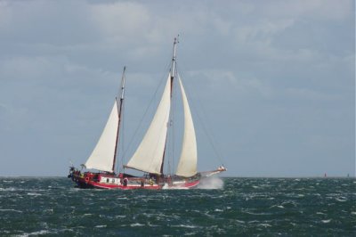 K20D4822.jpg