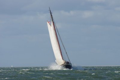 K20D4852.jpg