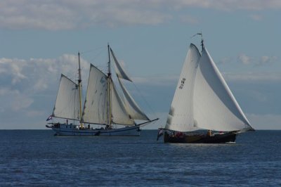 K20D4891.jpg