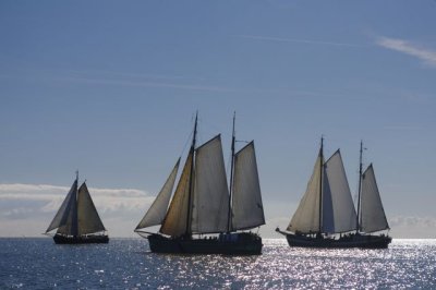 _K7_5050.jpg