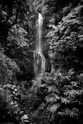 RD-629 wailua falls