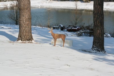 IMG_0657.JPG