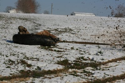 IMG_0696.JPG