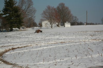 IMG_0719.JPG