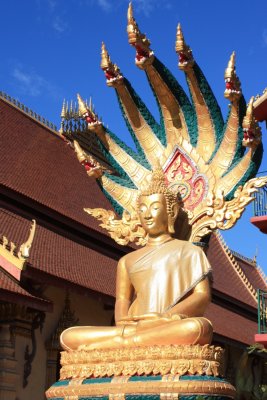 Buddha with Nagas at Wat Chan