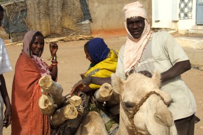 Happy with his numerous camels and two wives