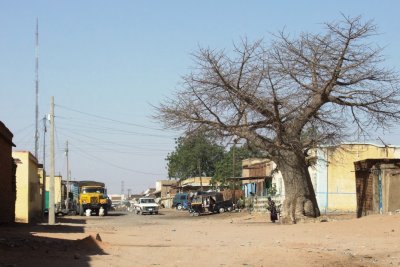 A standard Nyala street