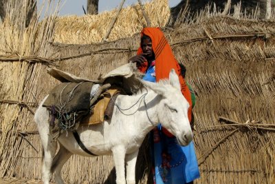 A nomad woman, charcoal vendor