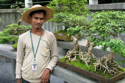 Bonsai trees, Nepalese gardener
